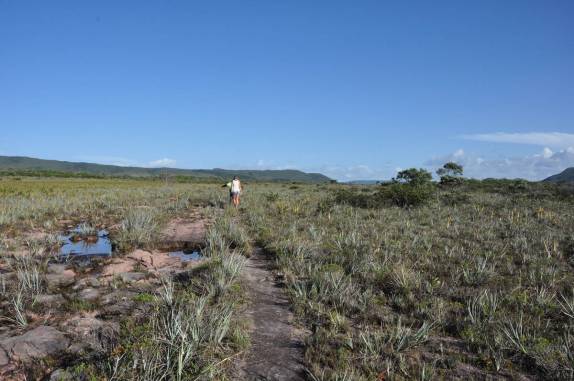 Caminhando na Gran Sabana, a caminho do Salto Aponwao, na Venezuela